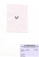 藏品(匍匐網翼藻)的圖片